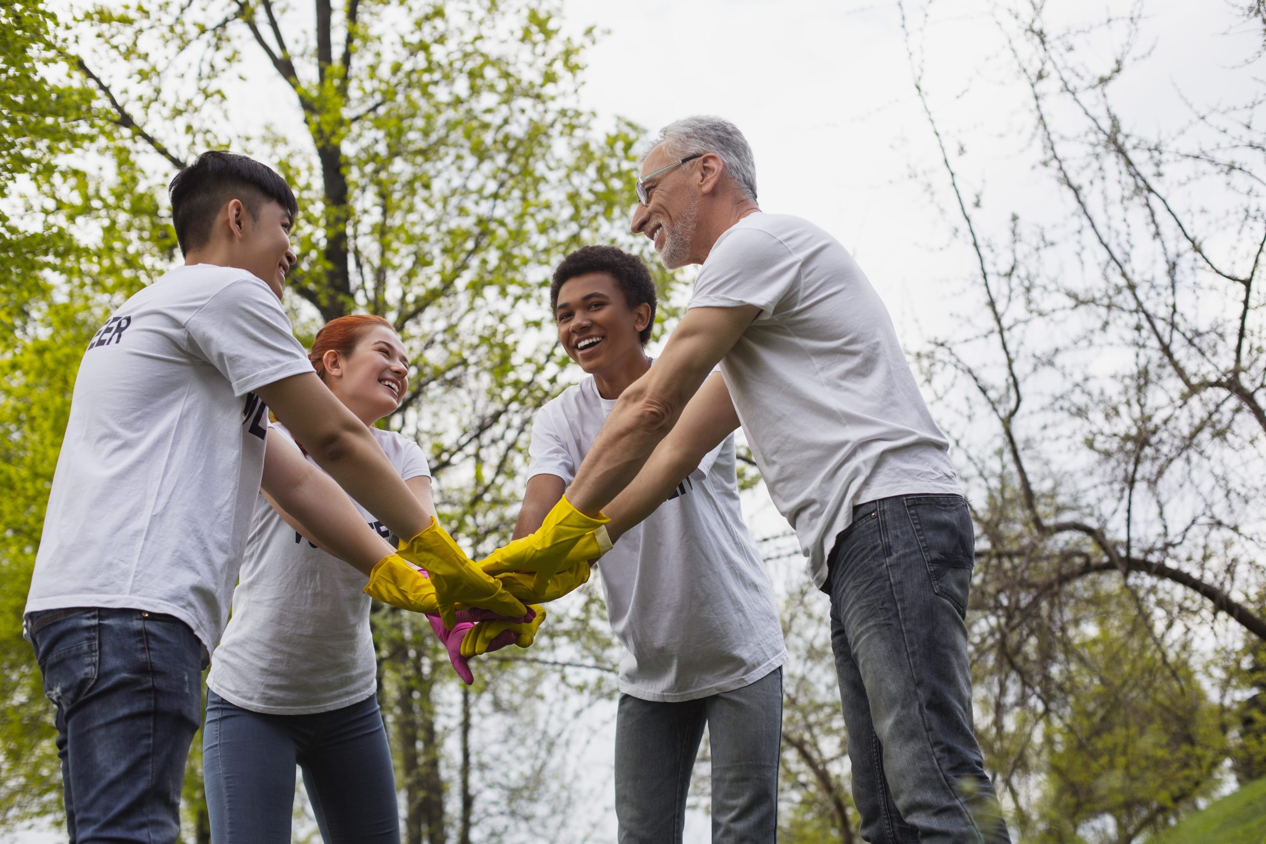 Budget friendly IT solutions for non profits